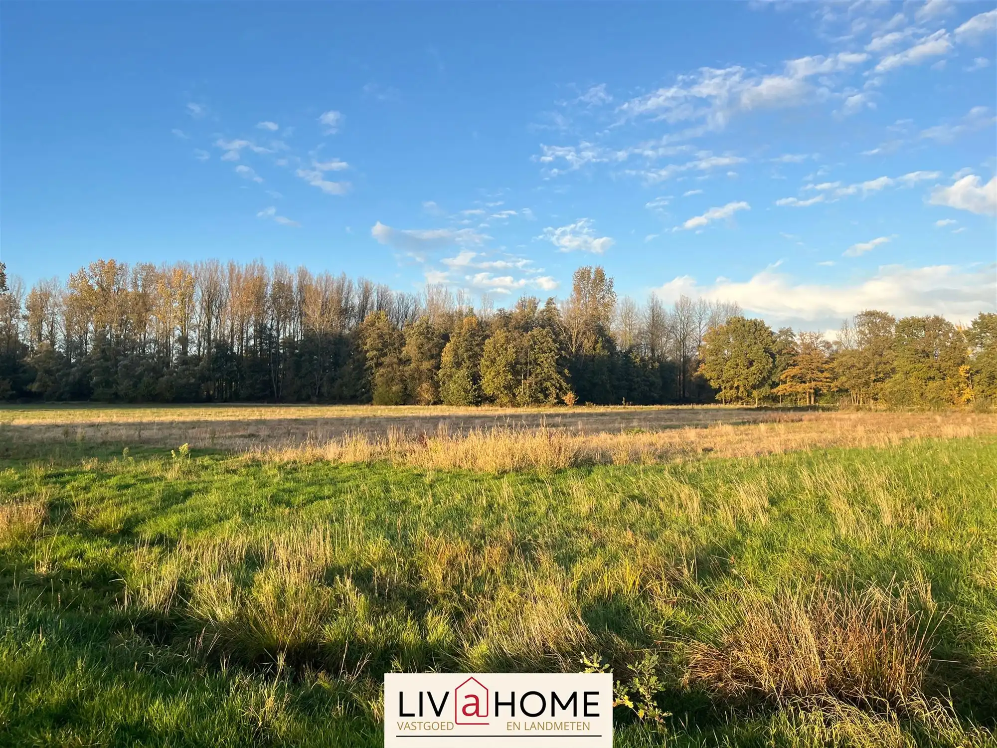 landbouwgrond - niet verpacht. foto 6