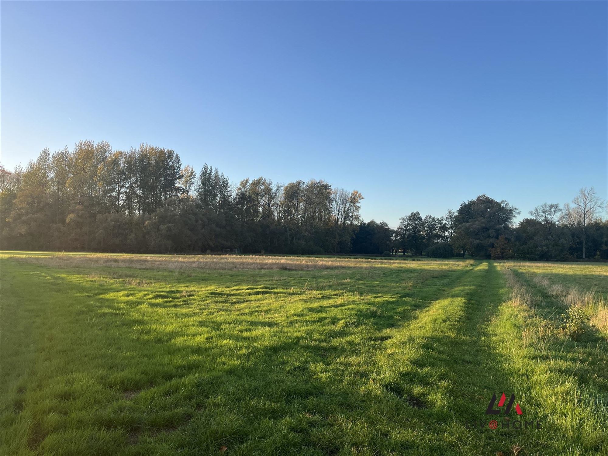 landbouwgrond - niet verpacht. foto 6