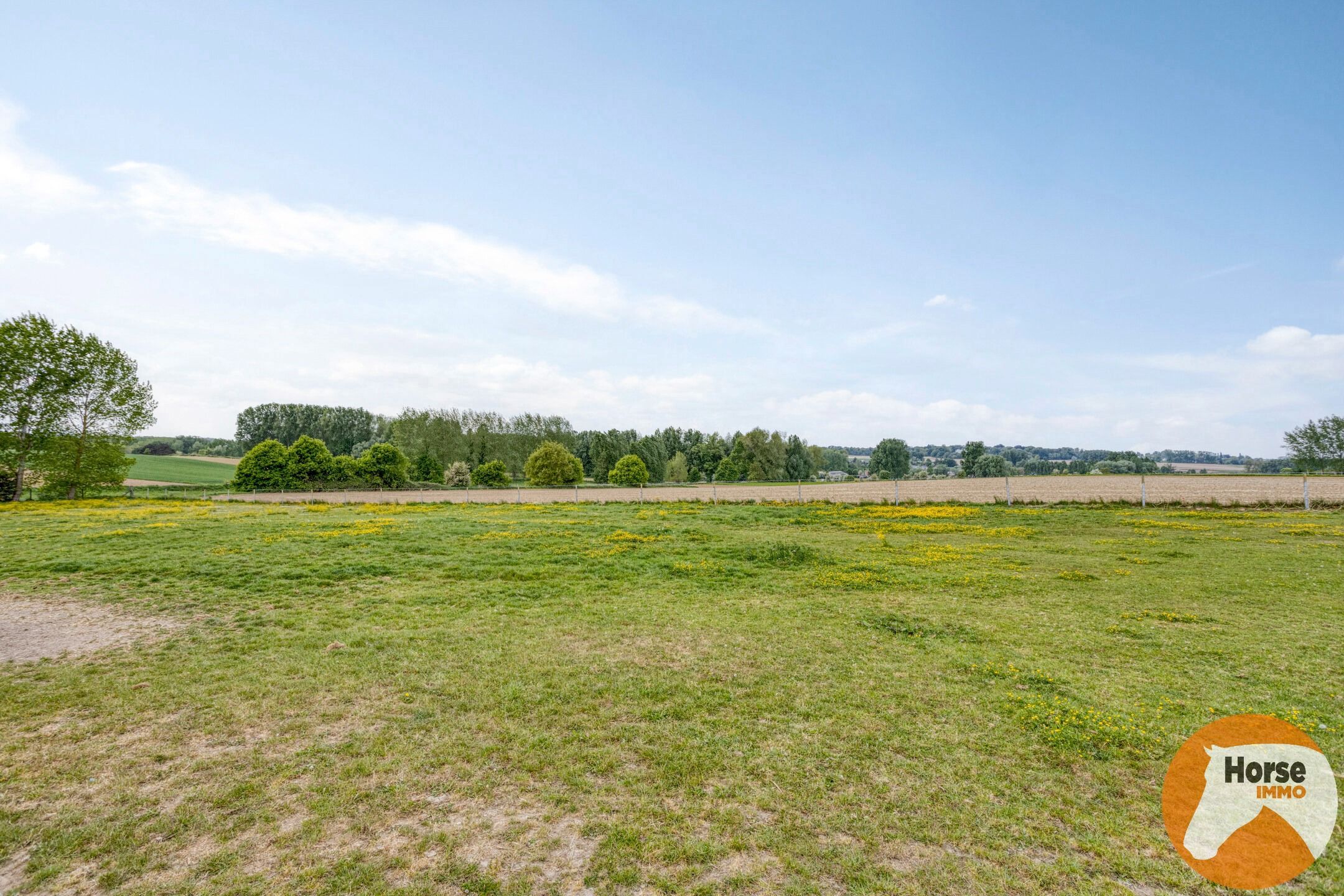 WOUBRECHTEGEM - Charmante woning met 2 loodsen op 1,61 ha  foto 32