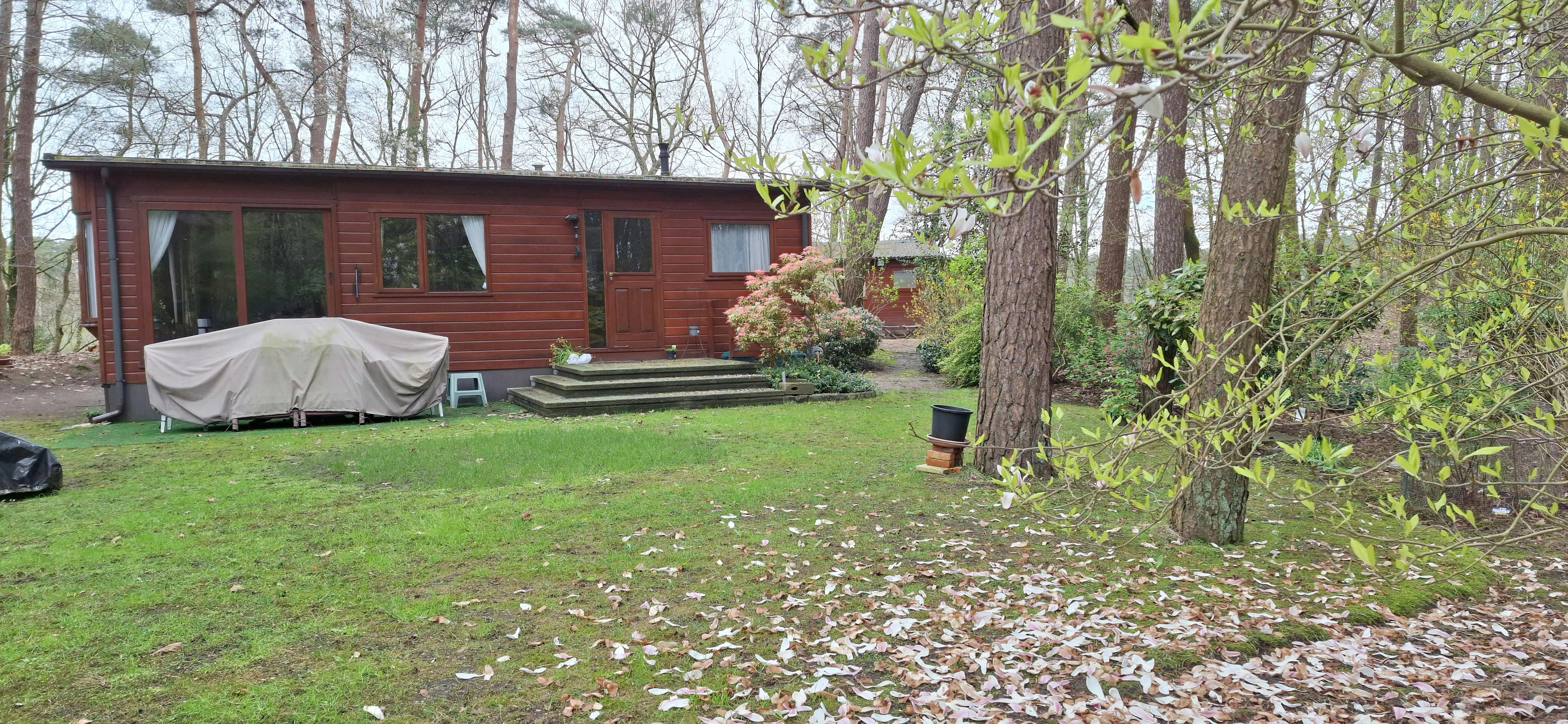 Verzorgde woning op prachtige bosgrond te koop in Wuustwezel foto 30