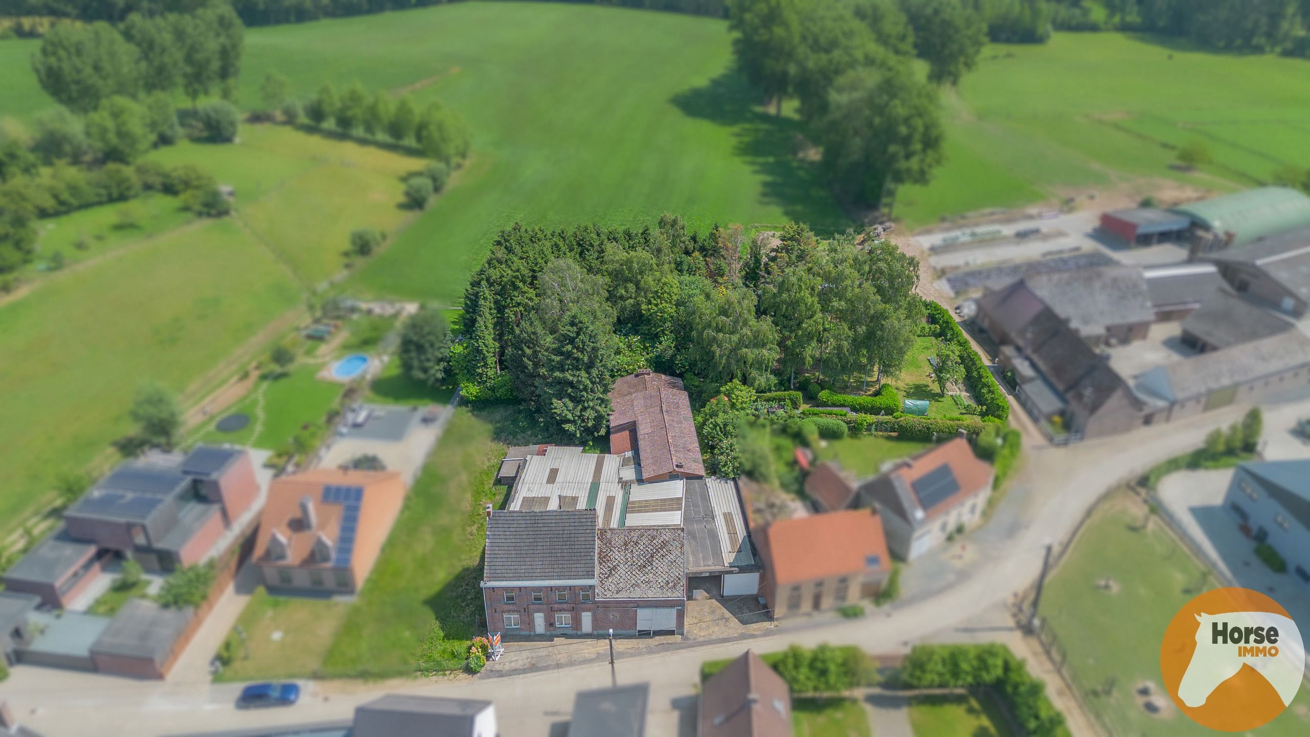 ST-L-ESSE - Ruime burgerwoning met achterliggende ateliers foto 4