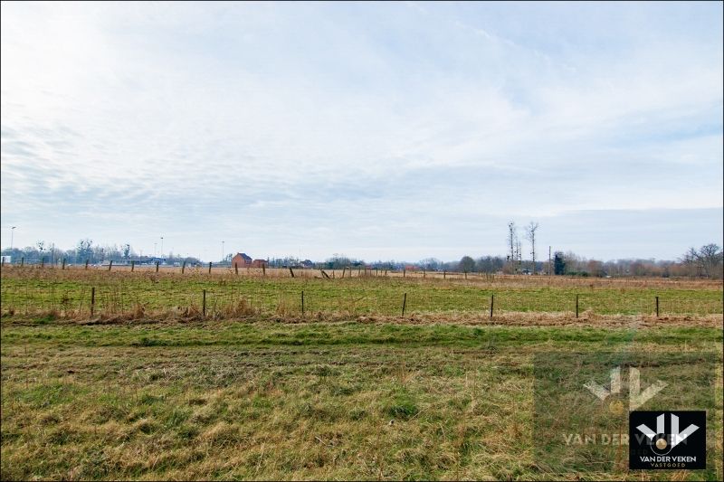 11,5 hectaren landbouwgrond foto 10