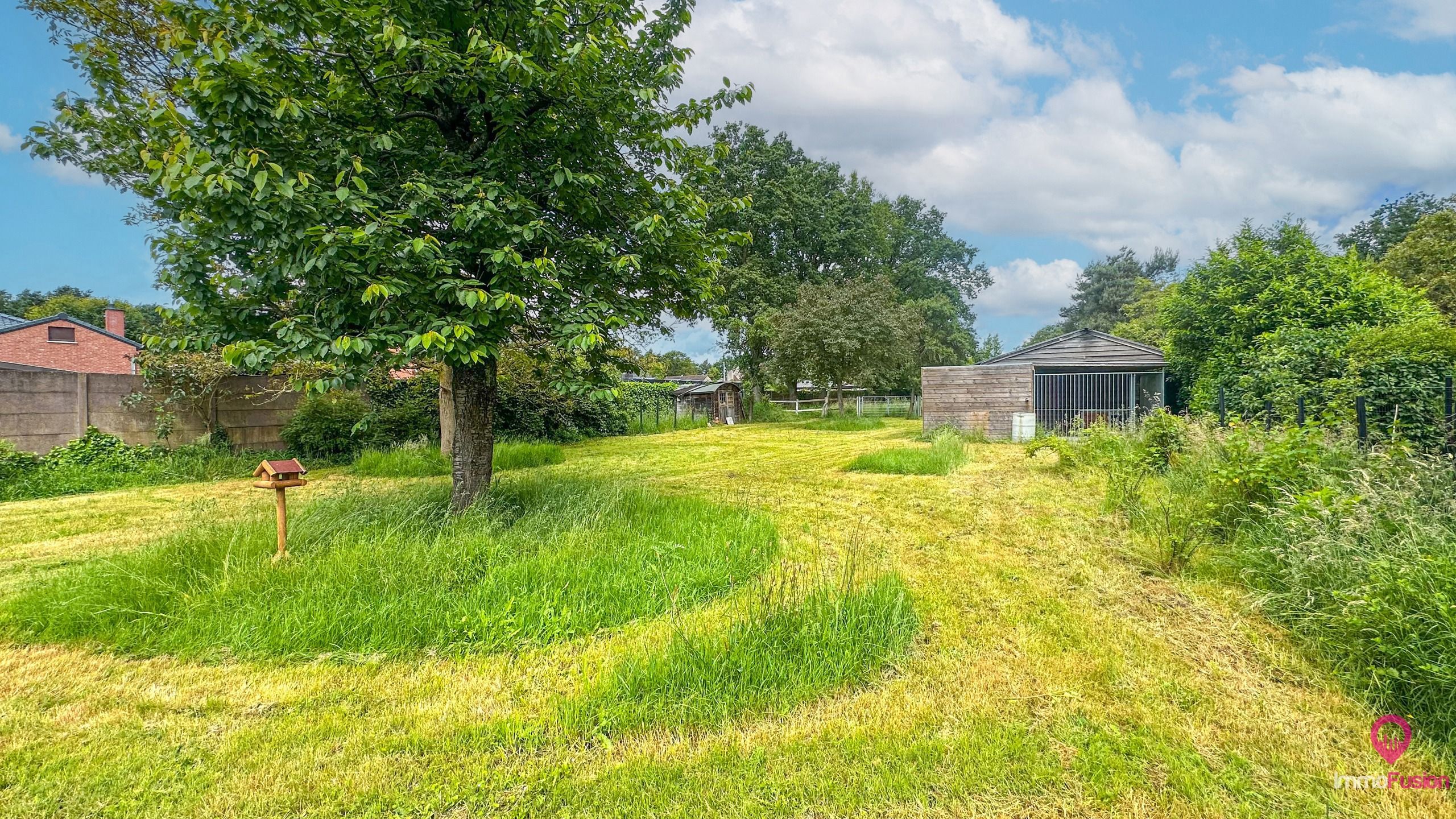 Vernieuwde woning met 5slpk op groot perceel te Bolderberg! foto 38