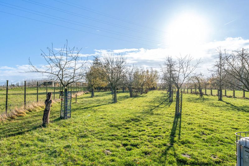 Statige villa op een perceel van 42are 70ca foto 43