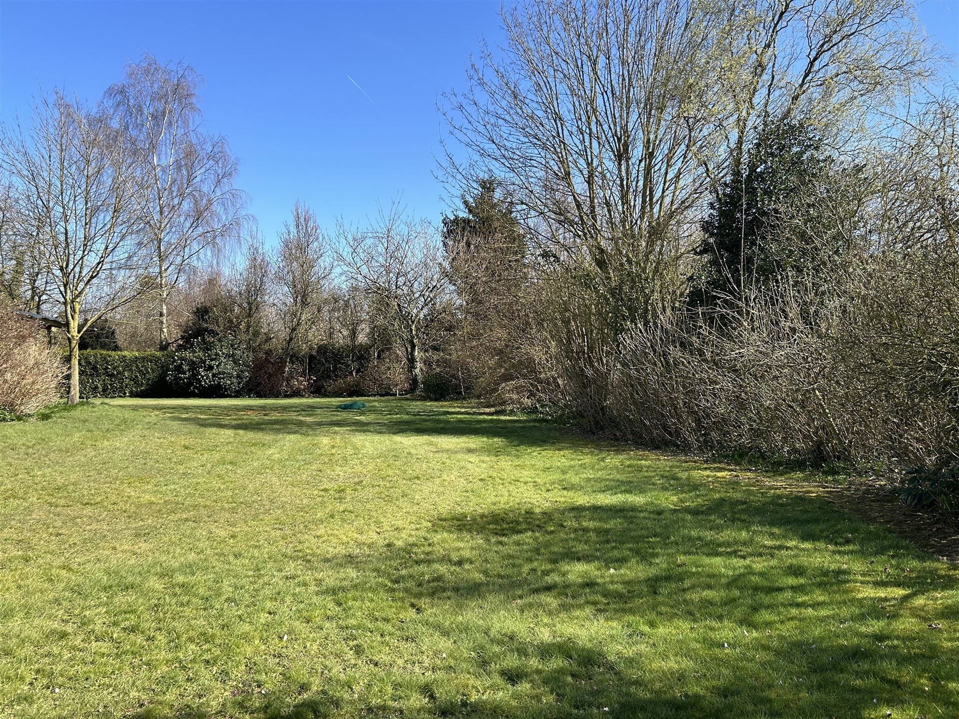 Bouwgrond foto {{pictureIndex}}