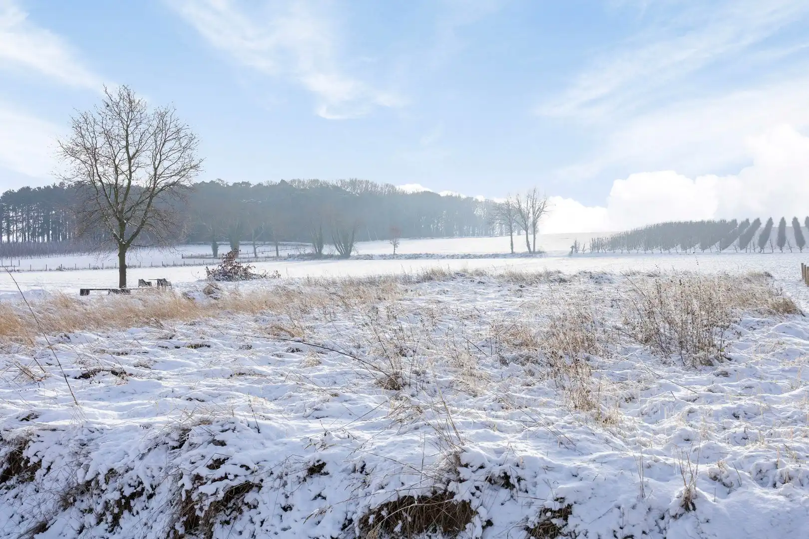 Fantastisch casco en winddichte nieuwbouwwoning met 3 slaapkamers, tuin en terras in Assent (Bekkevoort)! – bewoonbare opp. 177m²  foto 26