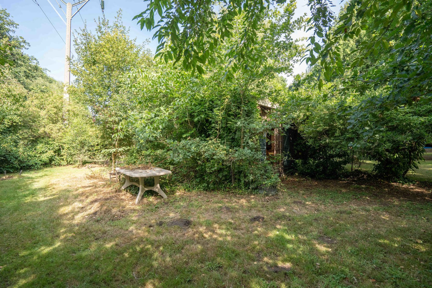 Unieke hoeve op domein van 1,5 ha – pure rust en natuurbeleving in het groen foto 19