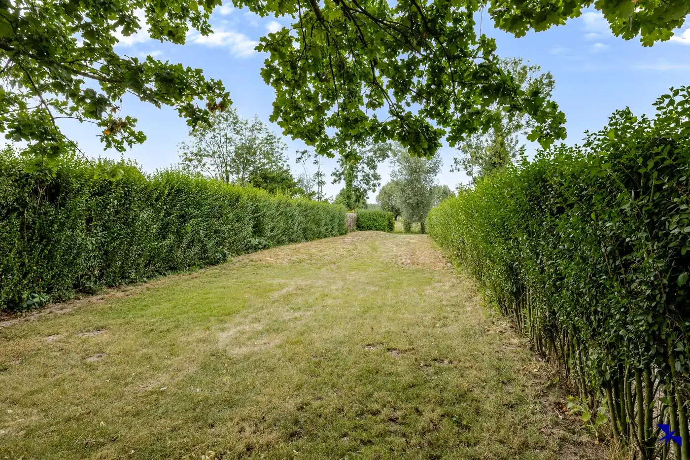 Stijlvol gerenoveerde woning op groenligging foto 30