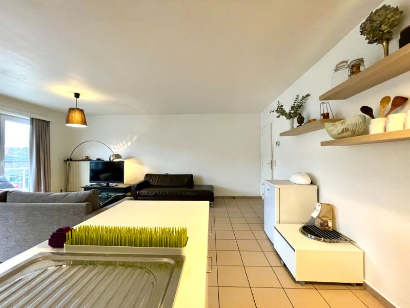 LICHTRIJK APPARTEMENT MET ZICHT OP HET GROENPLEIN foto 7