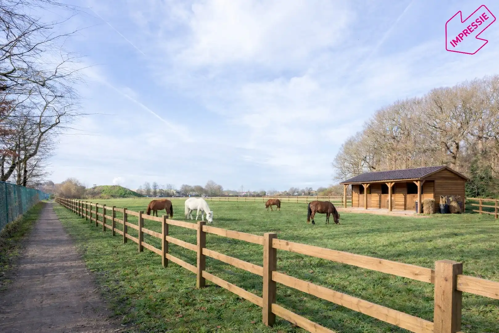 Uniek domein met villa, magazijn en uitgestrekte gronden foto 29