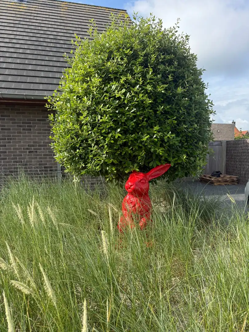 Lombardsijde, uiterst verzorgde koppelwoning op het einde van een doodlopende straat. foto 19
