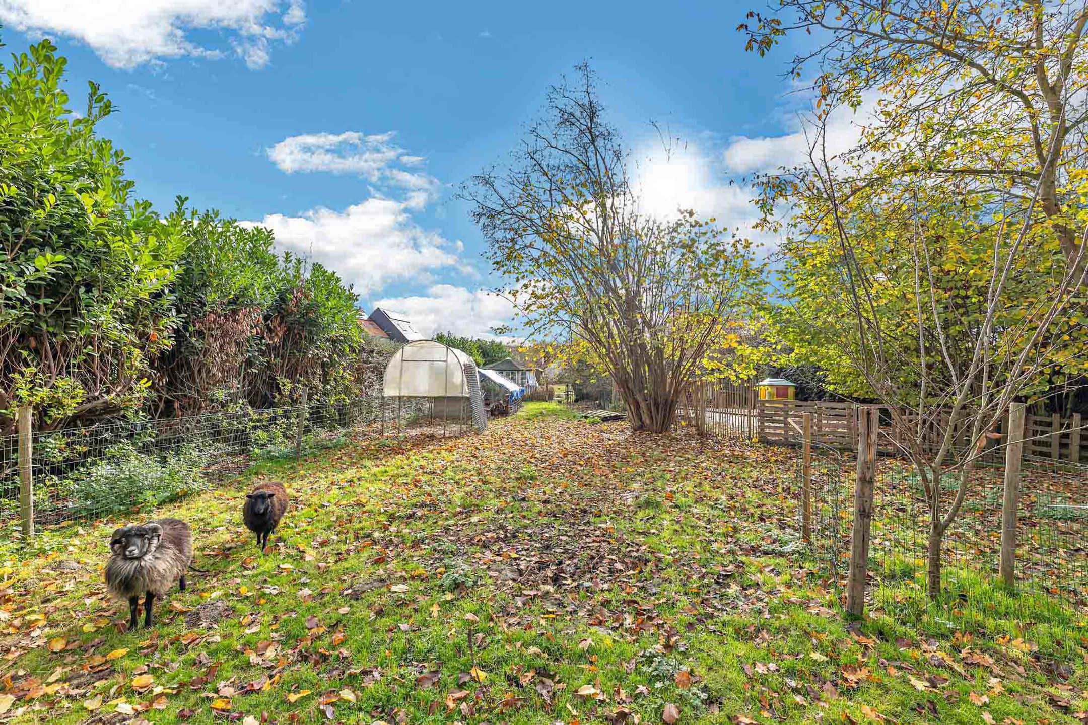 Gezellige woning met ruime tuin foto 25