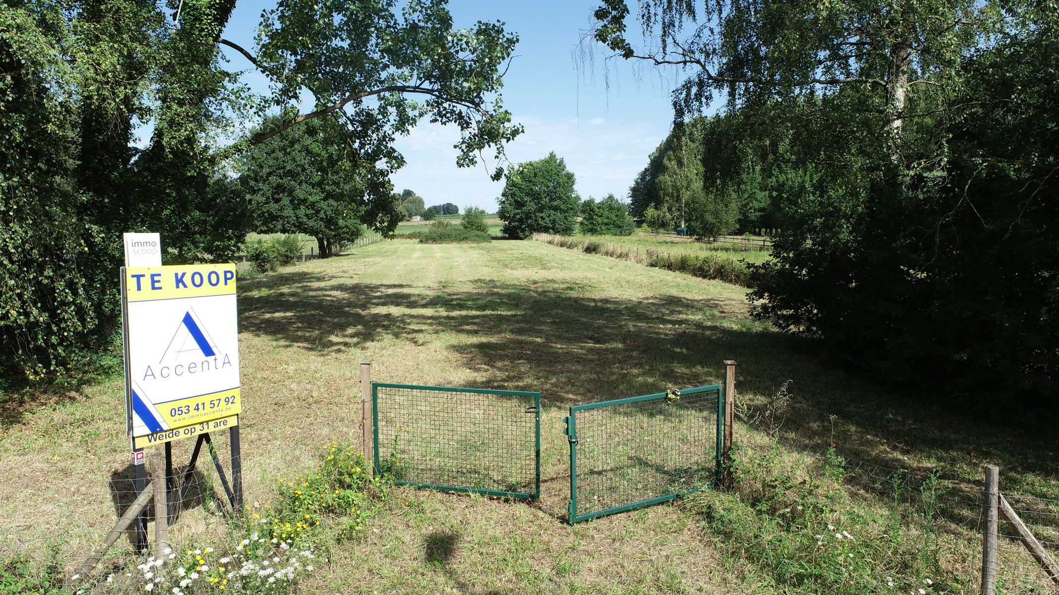 Vlot bereikbare omheinde weide foto {{pictureIndex}}