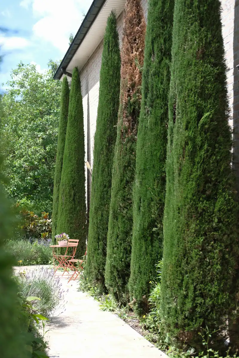 Villa te koop foto 36