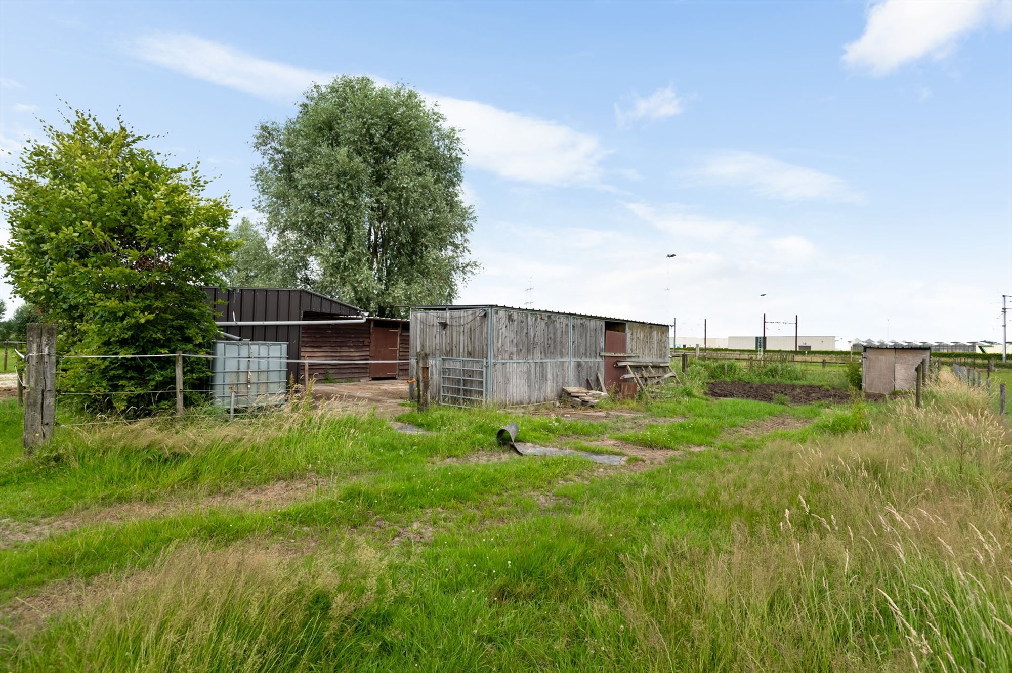 Prachtige paardenweide met stallen en piste foto 10