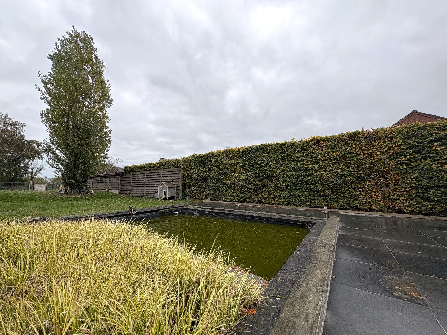 🏡 Grondig gerenoveerde woning met zonnige tuin in centrum Vlamertinge (Ieper) foto 6