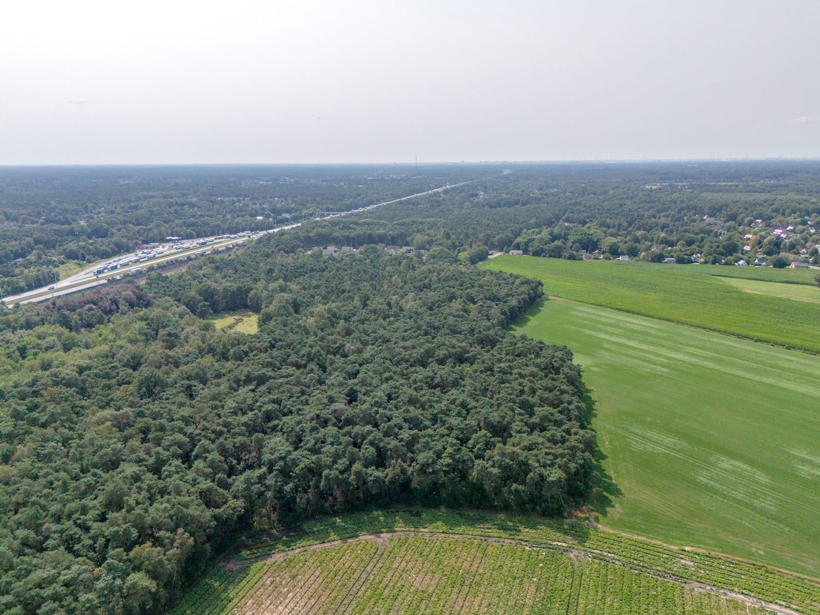 Perceel bosgrond van 21600m² te Brecht foto 9