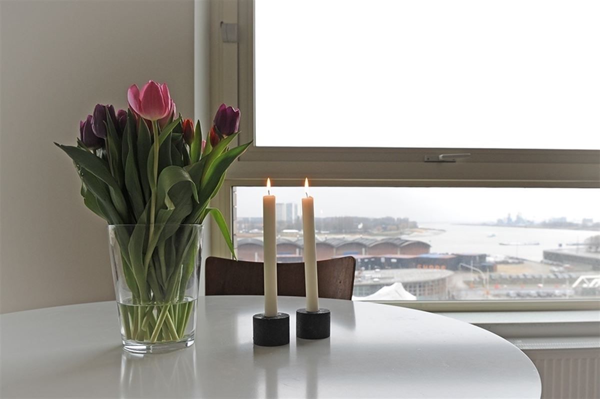 Mooi 1slaapkamer appartement met groot terras en zicht op de Schelde foto 7