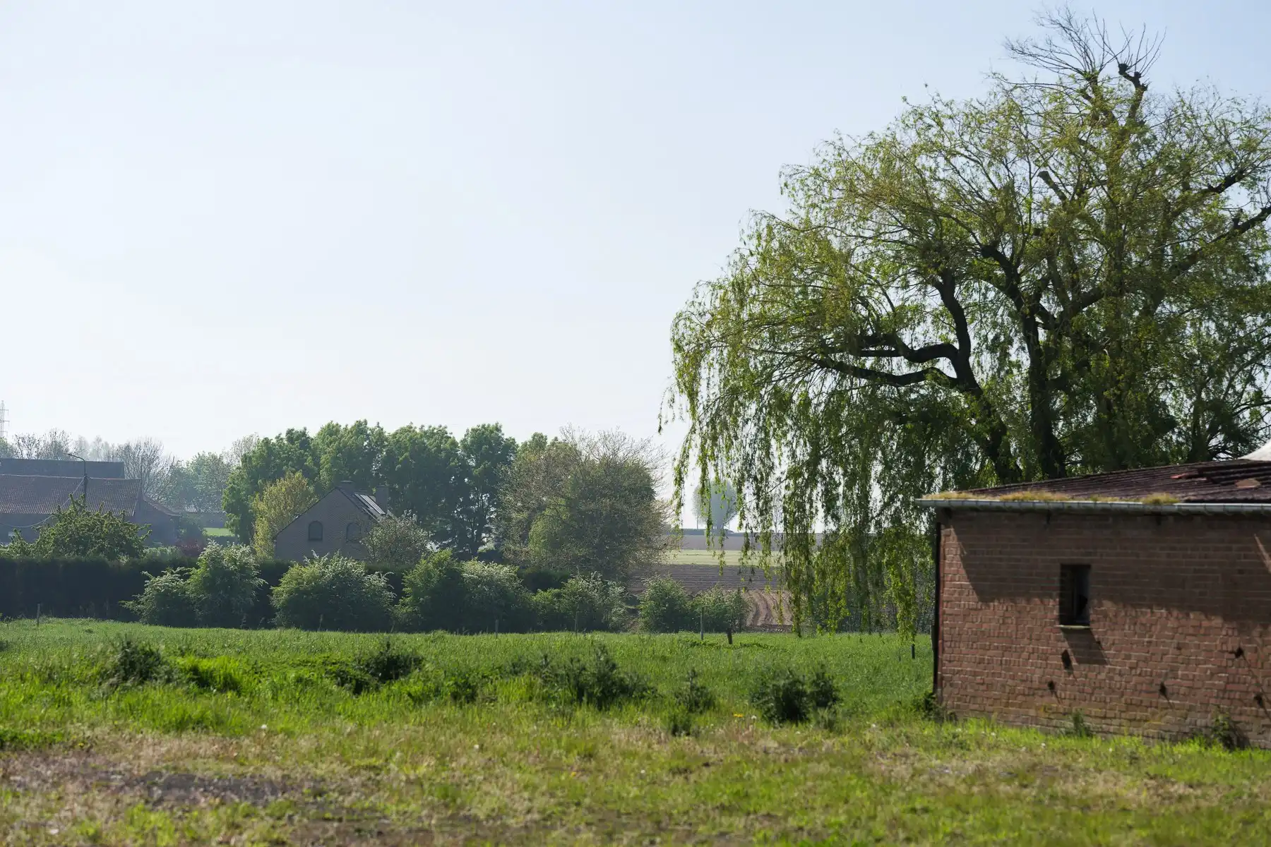 Een hectare groen, klaar voor jouw toekomst (zonevreemd!) foto 12