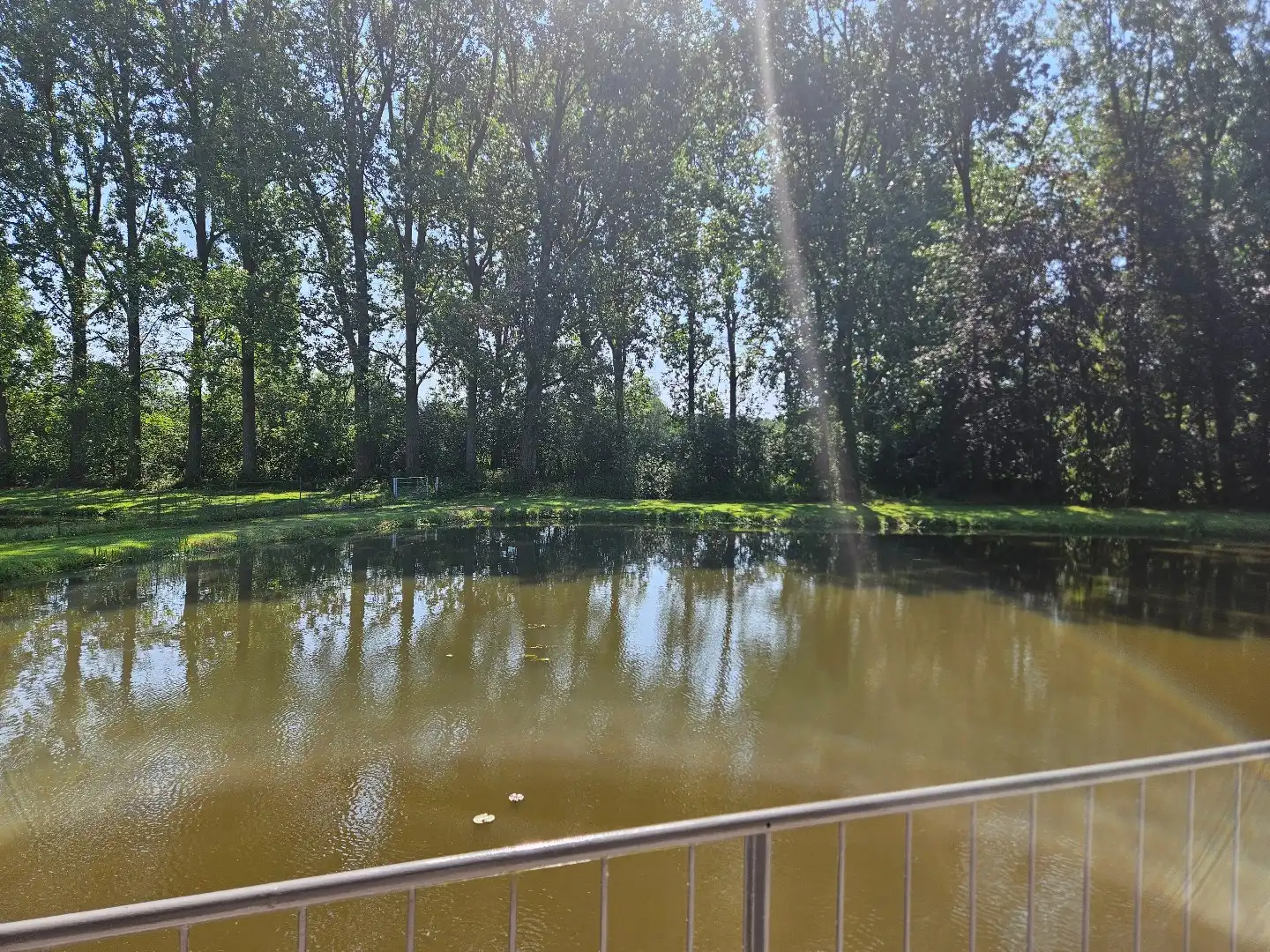 Rustig gelegen woning met 3 slaapkamers en prachtige vijvertuin in Geel-Winkelomheide !  foto 19