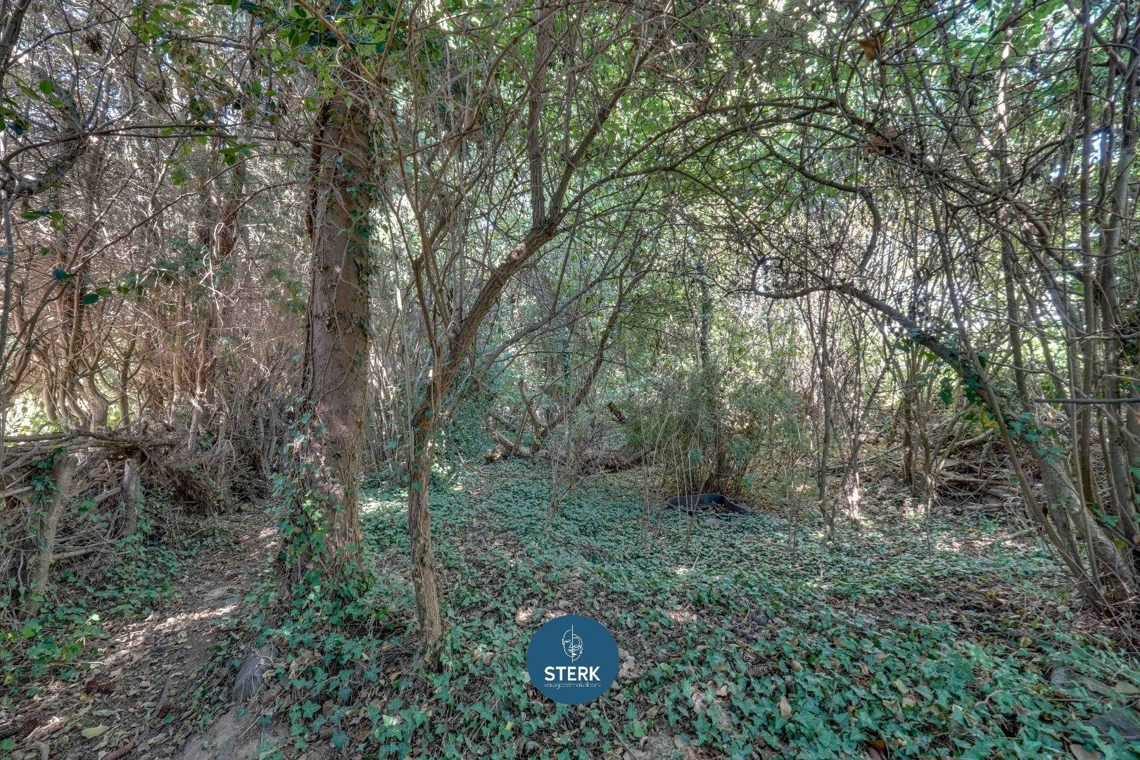 OP TE KNAPPEN GEZINSWONING OP EEN RUIM PERCEEL VAN 17A 70CA TE OPGRIMBIE !  foto 25