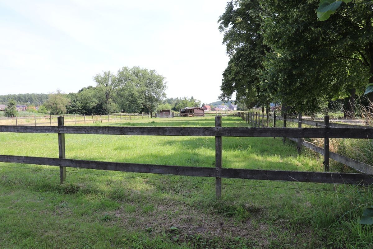 Omheinde weide met paardenstallen te koop te Rotselaar foto 1