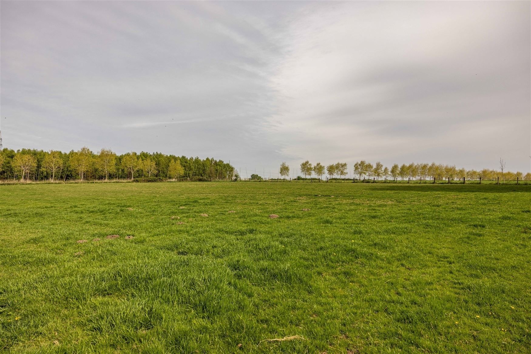 Subliem gelegen woning met uitbreidingsmogelijkheden foto 12