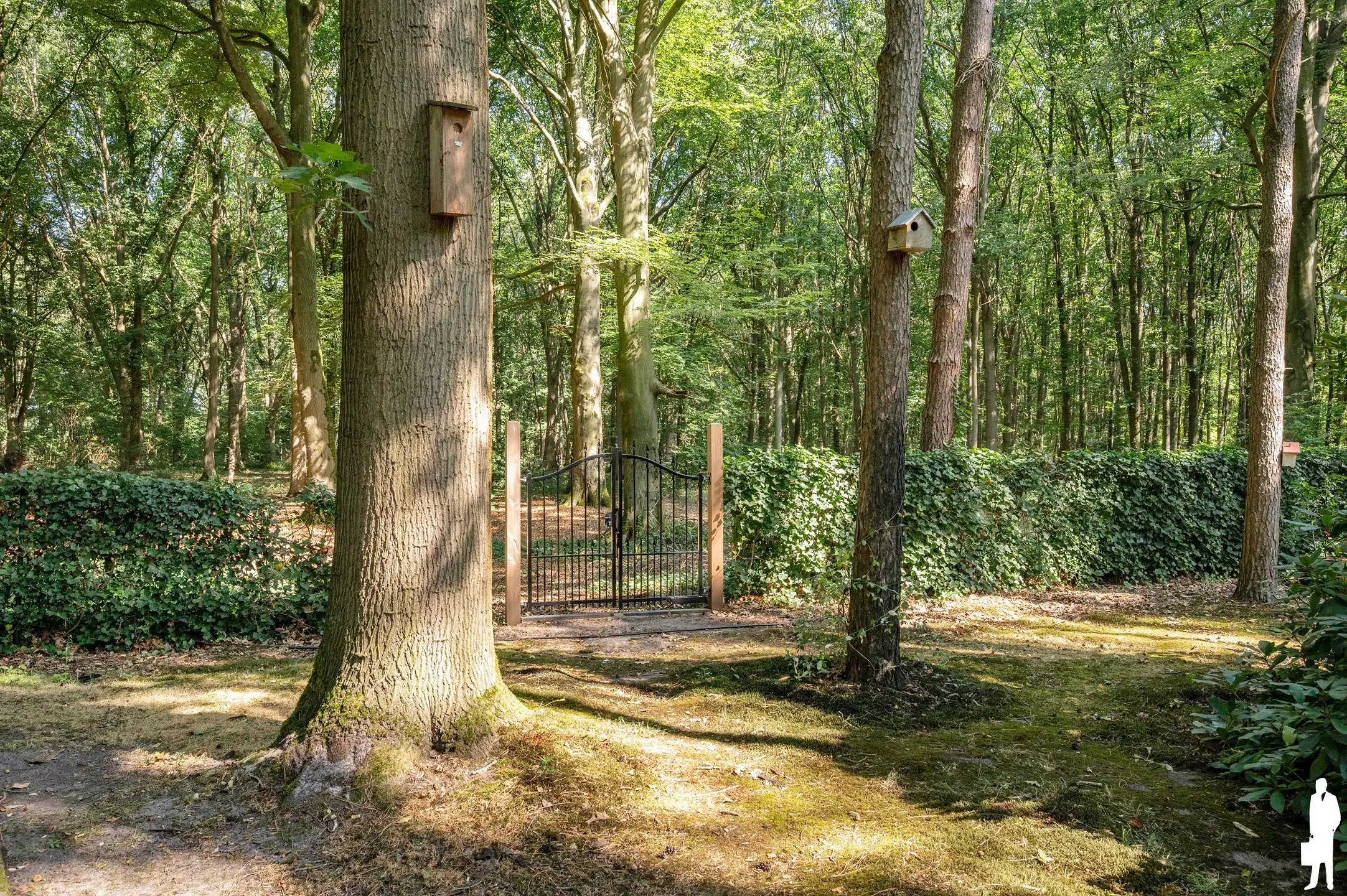 Charmante woning met volledige onderkeldering en achterliggend bos van ca. 31.493 m² foto 43