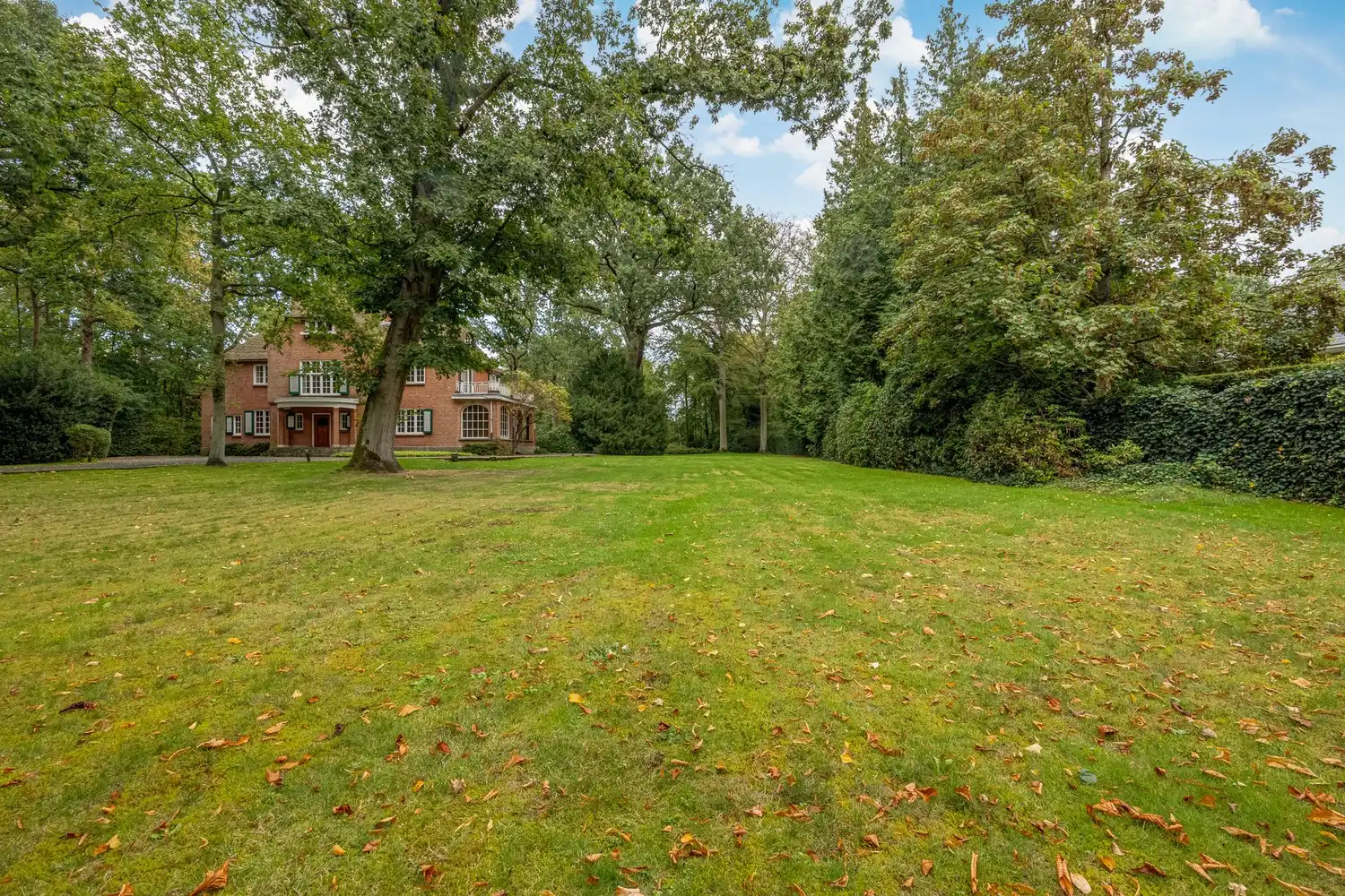 Karaktervolle te renoveren rietgedekte villa op een uitzonderlijk parkdomein van 13.670 m² in Vriesdonk (inclusief bouwgrond van ca. 4.543m²!) foto 33