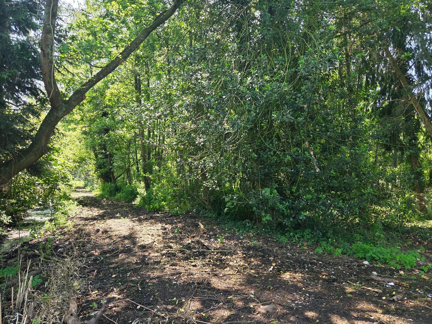 Perceel hooiland van 2.532 m² langs de Ring in Mol ! foto 10