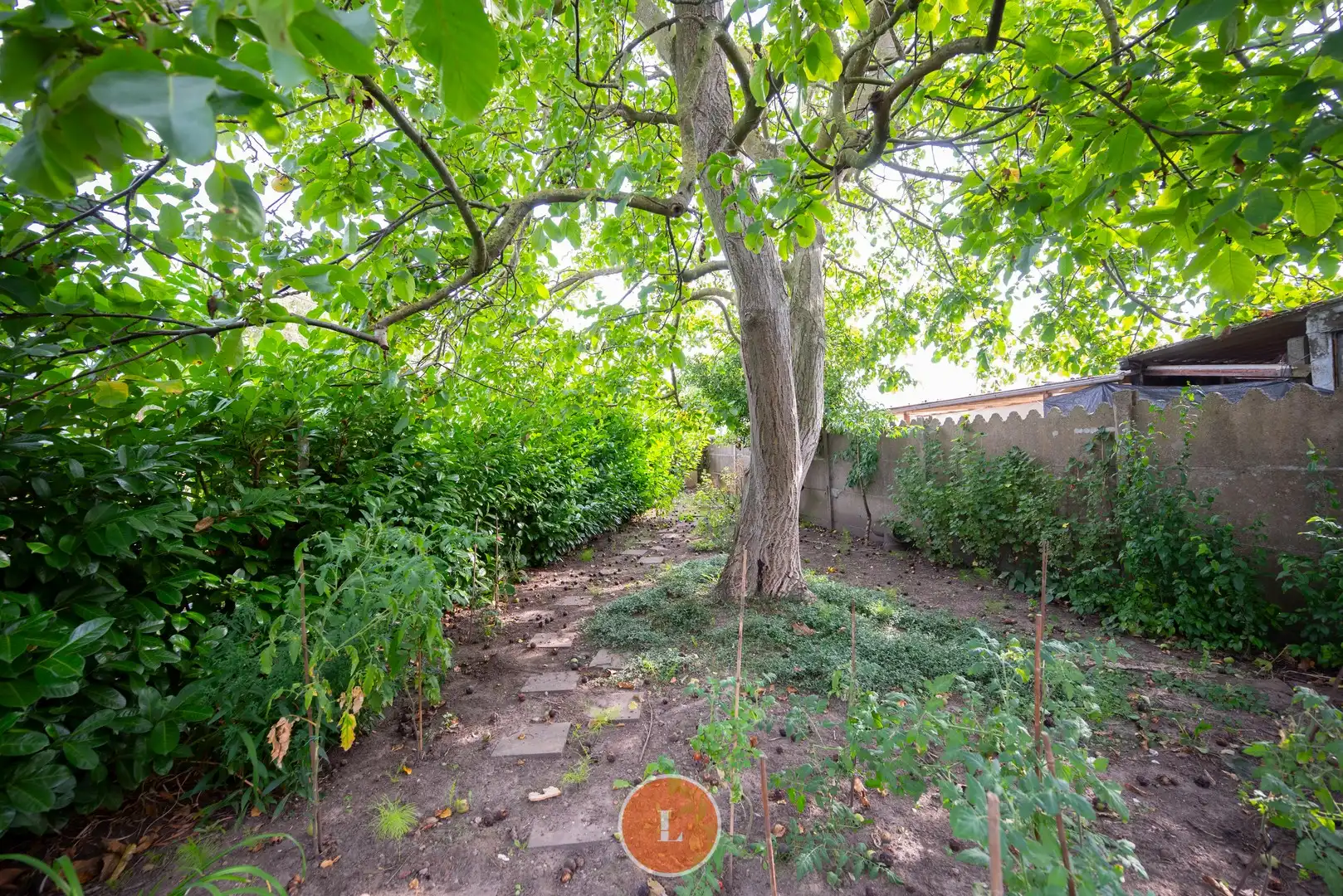 Te renoveren woning te koop in Menen foto 21