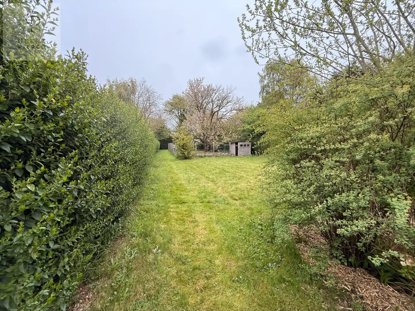 Eigentijdse woonst met ruime tuin foto 41