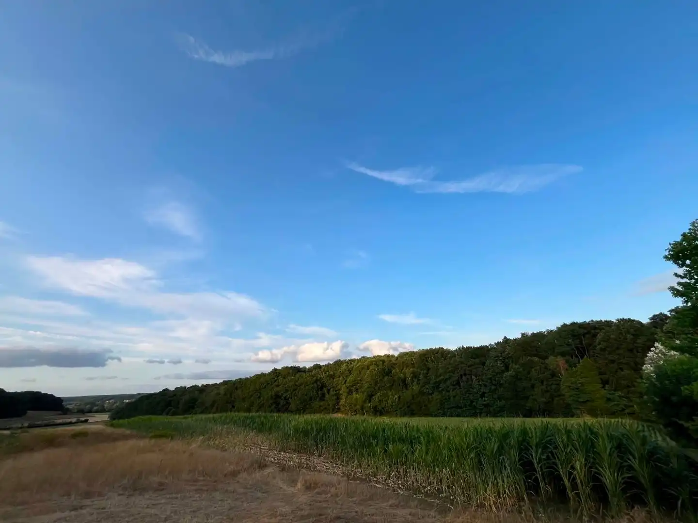 Gezellige vakantiewoning in het groene Ottenburg foto 14