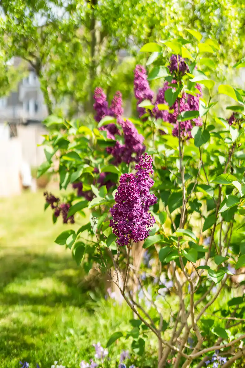 Instapklare gezinswoning met 5 slaapkamers en tuin foto 14