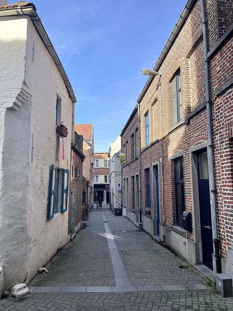 Gezellige instapklare woning centrum Leuven foto 17