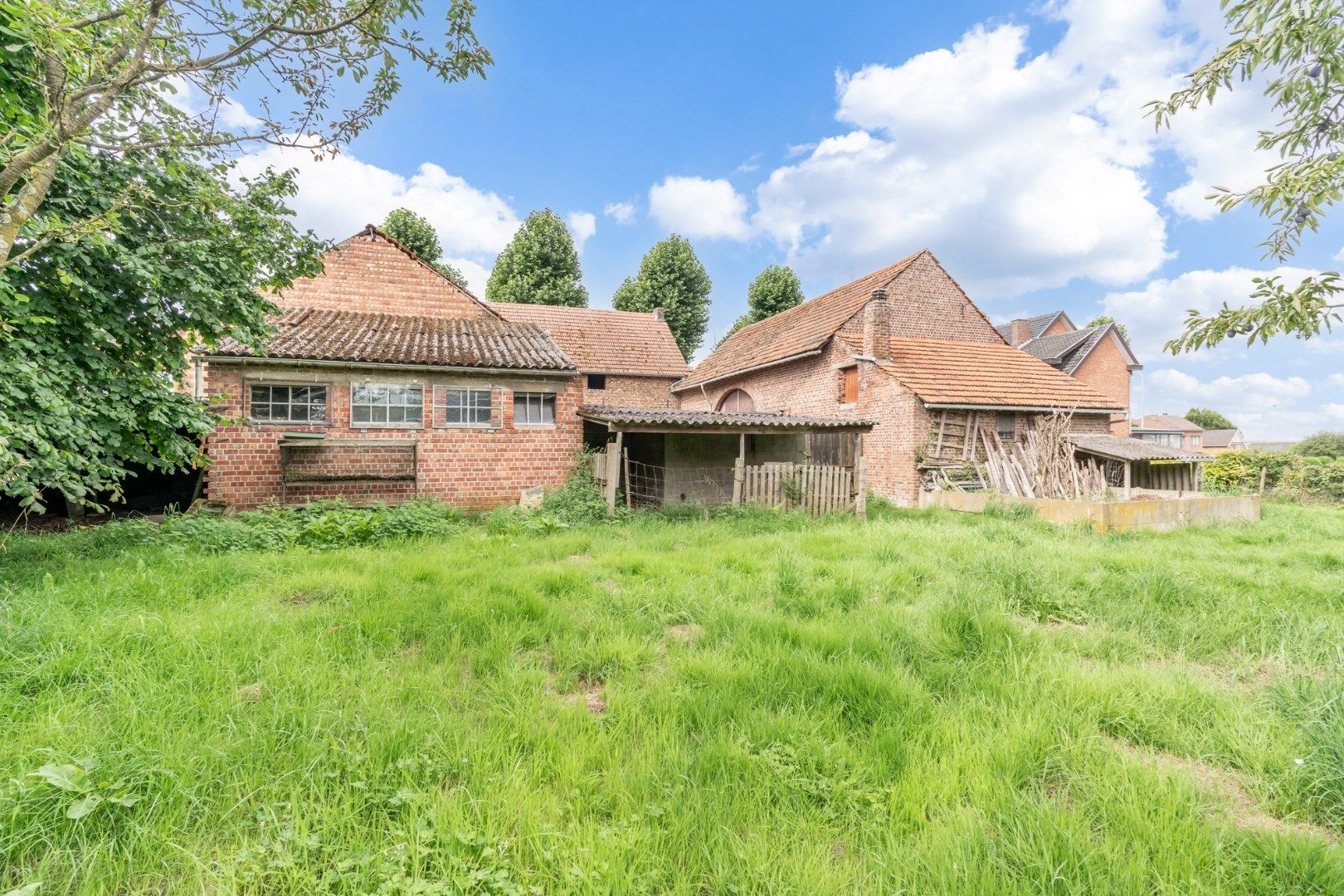 Te renoveren hoeve op een prachtige perceel van 23a 05ca, met weids zicht op de achtergelegen boomgaarden foto 26