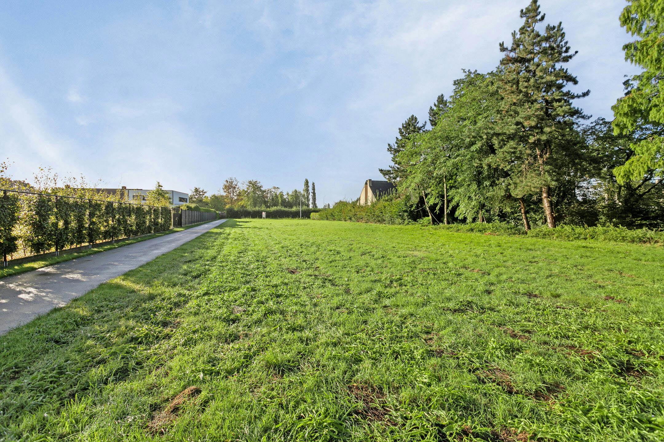 Bouwgrond (2850m²) voor open bebouwing te koop in Waregem foto 12