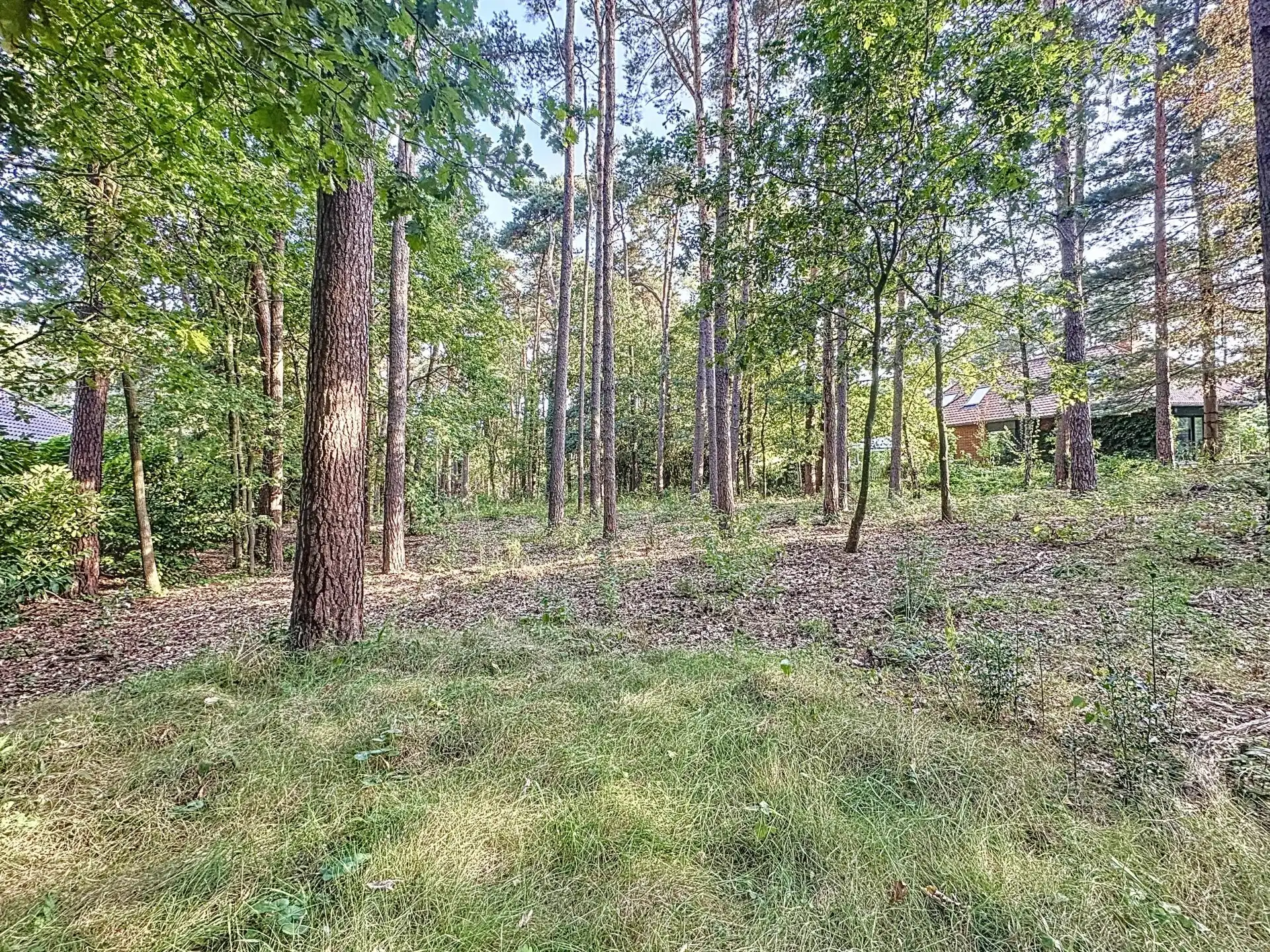 Prachtige bouwgrond van 31 are met vergunning te Mol-Bel. foto 5