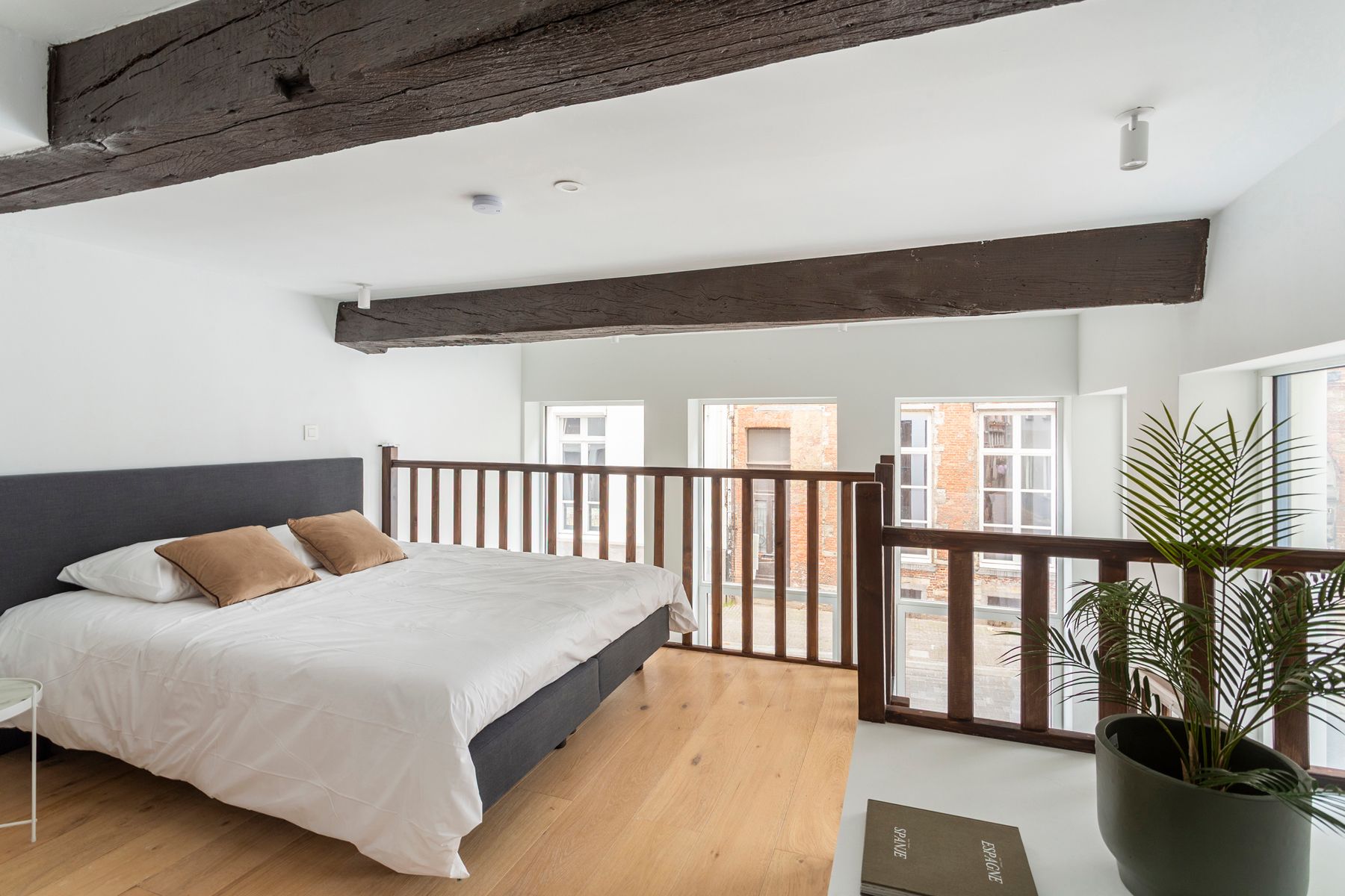 Gelijkvloers appartement met stadskoer in hartje Antwerpen foto 6