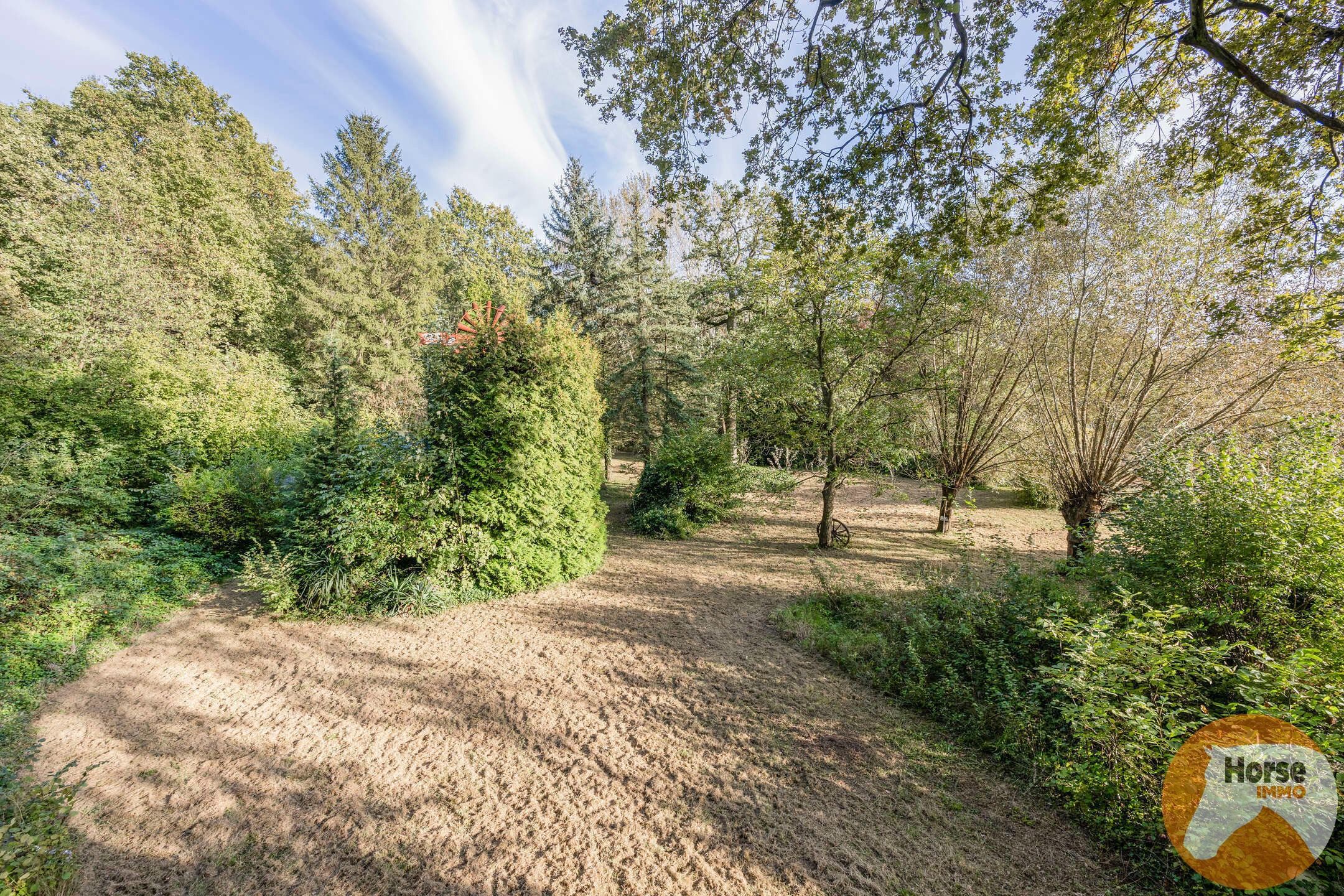 VELTEM-BEISEM - Woning met weilanden en eigen bos op 3ha32 foto 17