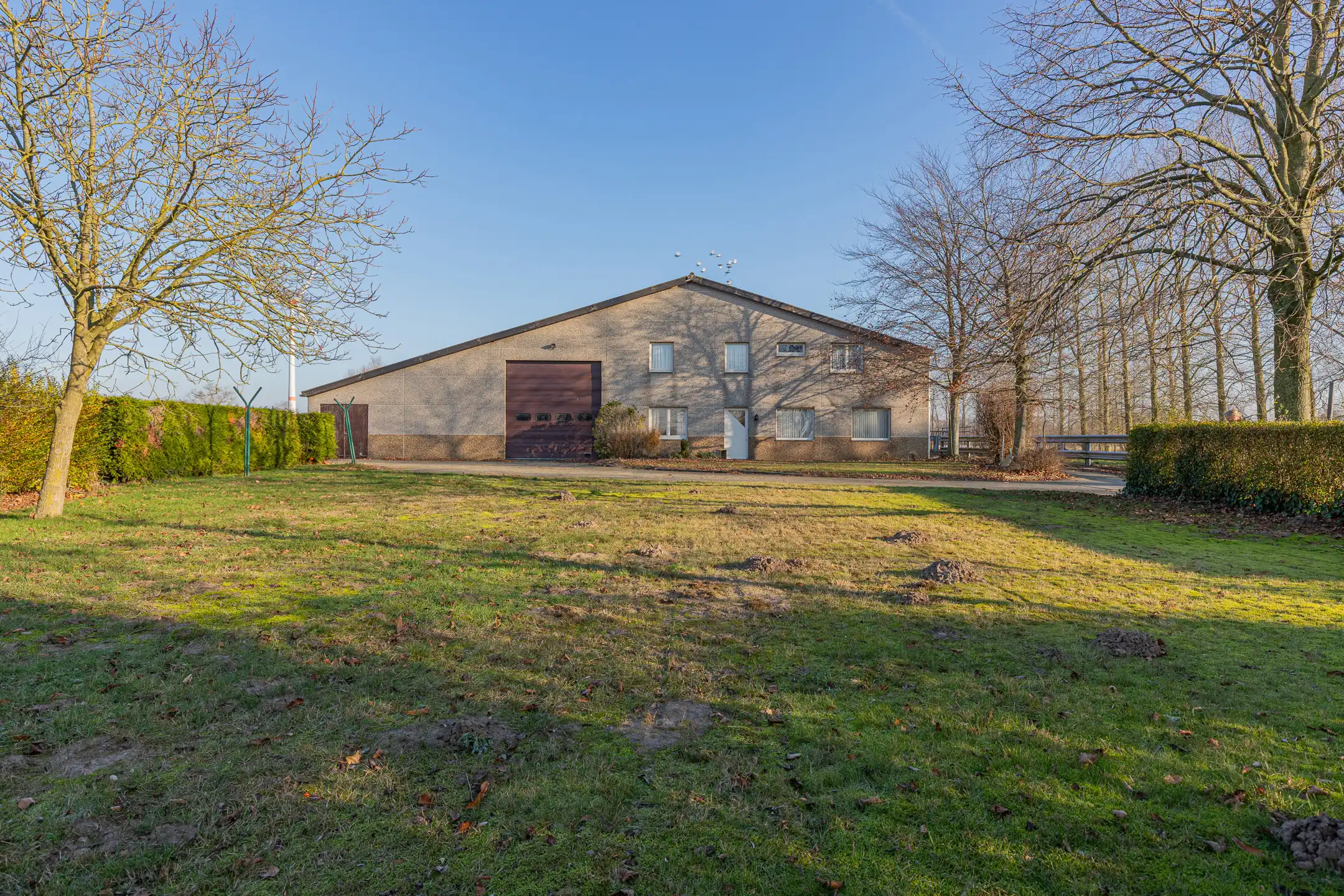 LAARNE- &nbsp;Landbouweigendom met geïntegreerde woning&nbsp; foto 14