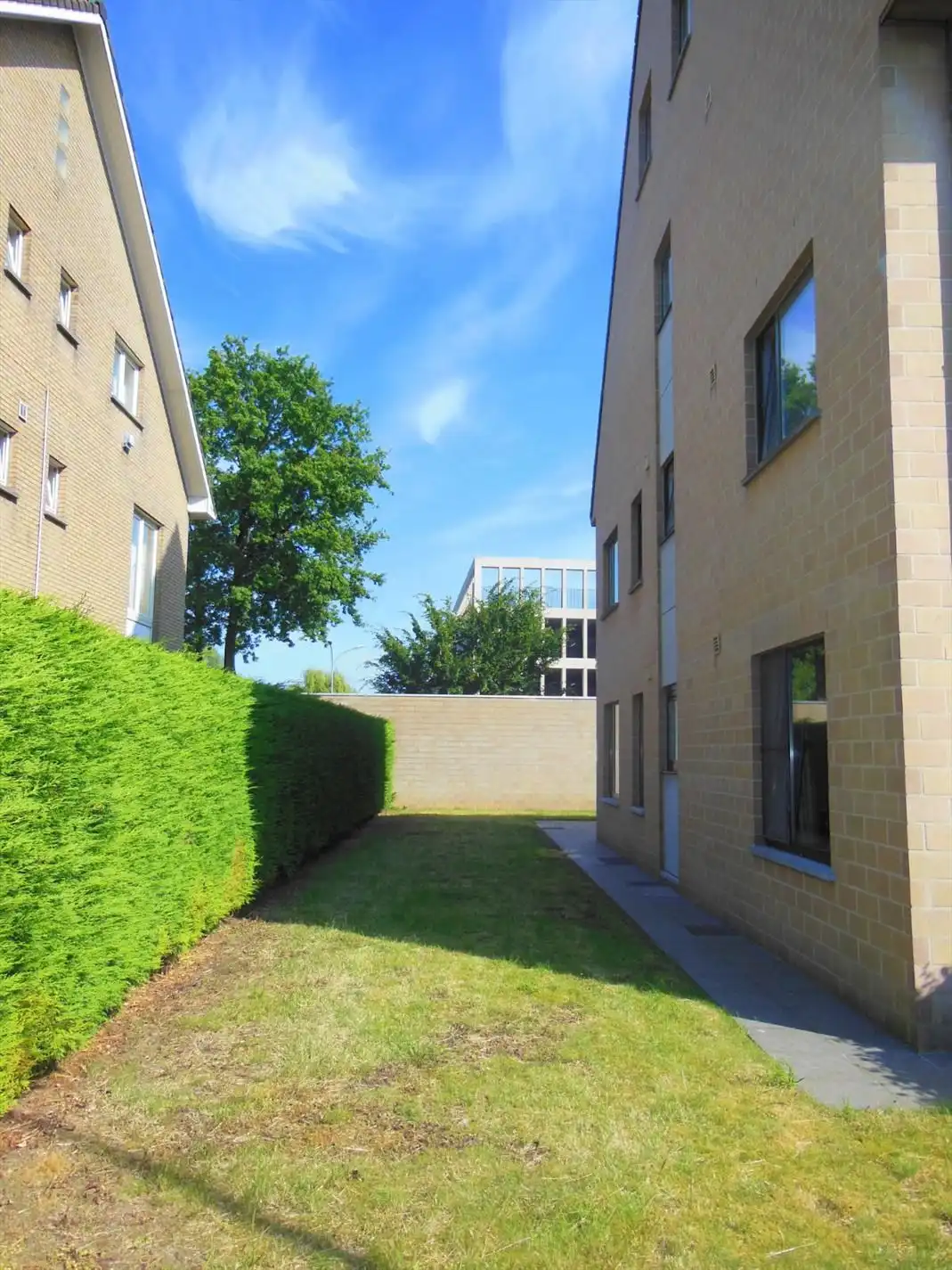 Gezellig gelijkvloersappartement met zonnige tuin en garage foto 11