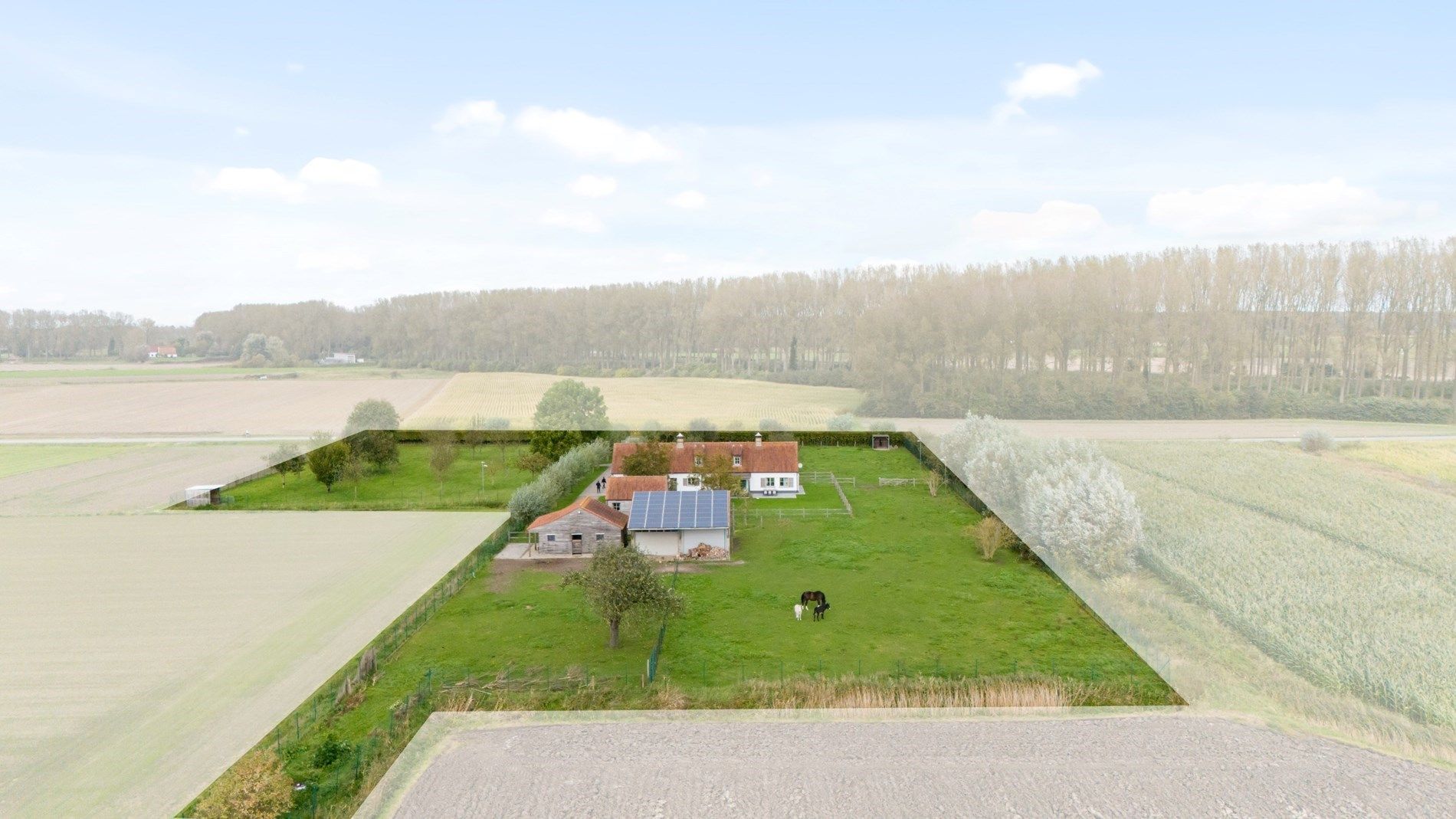 Rustig gelegen hoeve: een buitenkans voor paardenliefhebbers foto 2