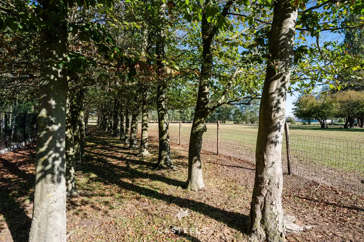De Spaanse Hoeve, karaktervol wonen op ruim 1,3 hectare in Laarne foto 20