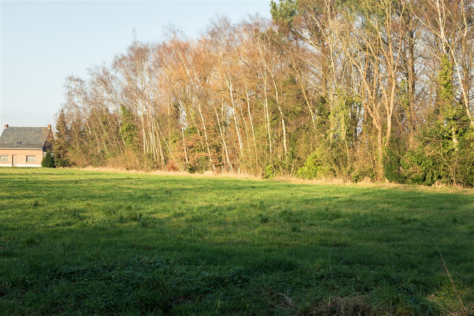 Landbouwgrond te Putte met goede bereikbaarheid foto 3