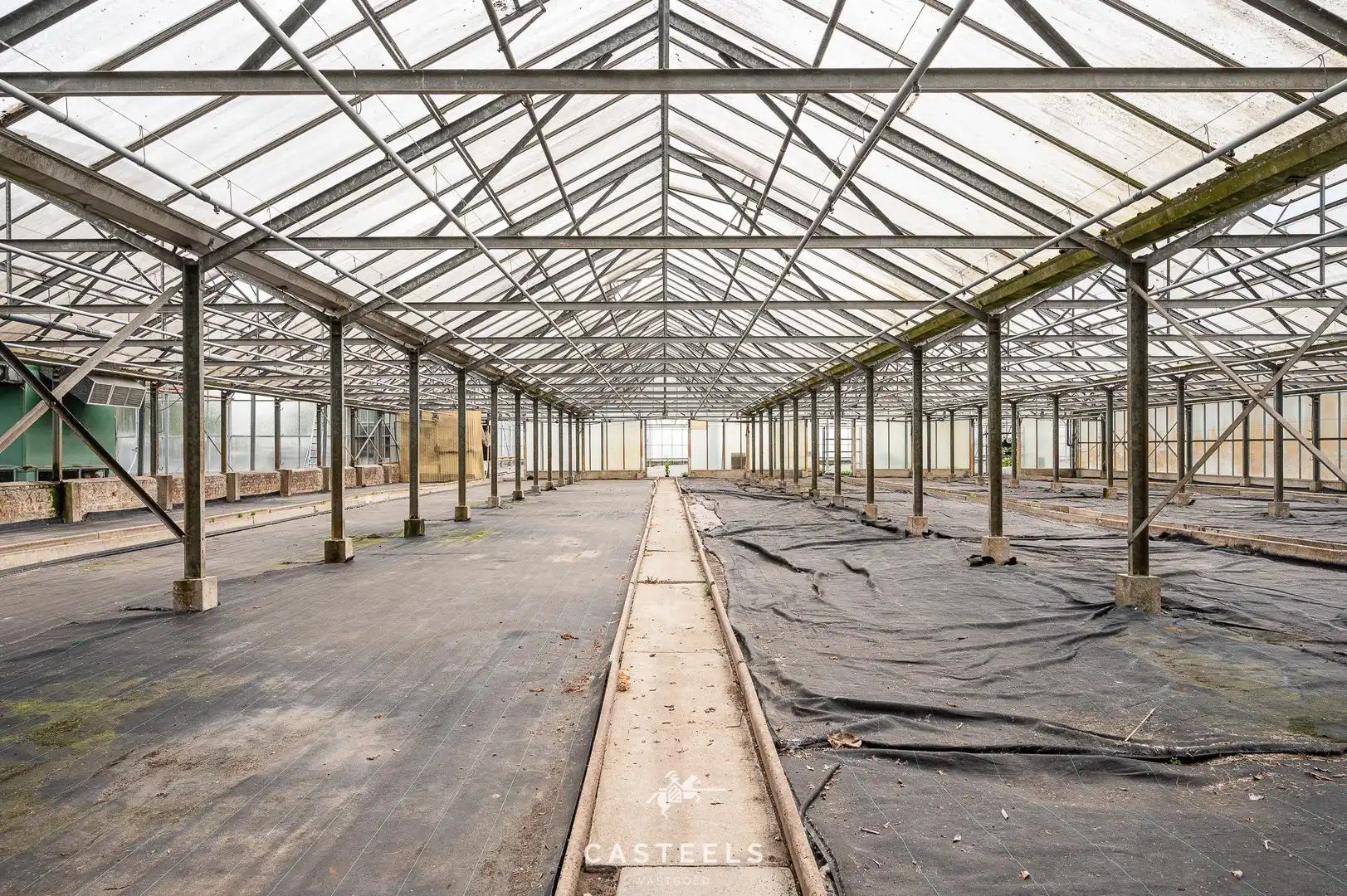 Serre op agrarische grond met logistieke toegangsweg foto 2