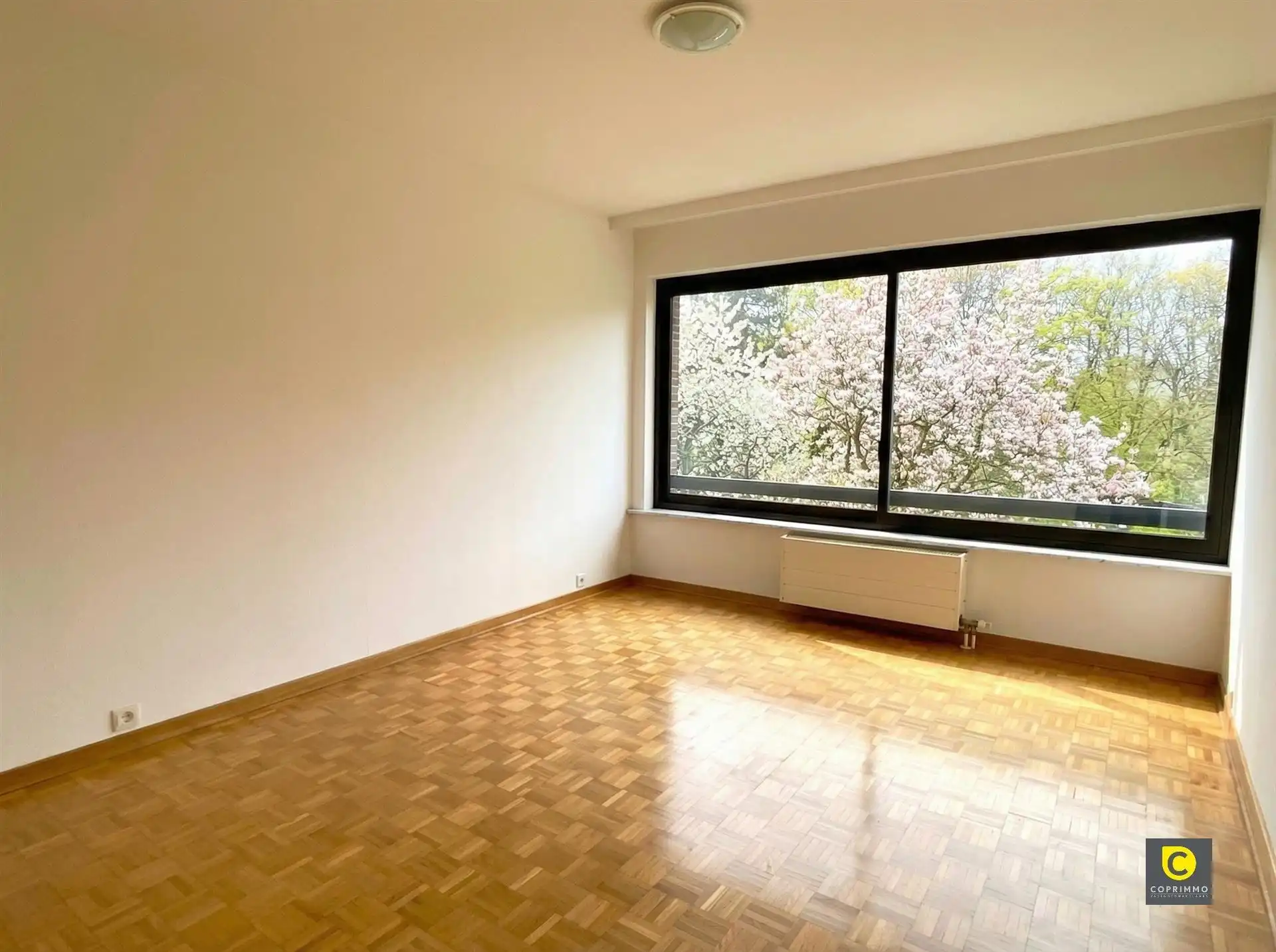 1-slaapkamerappartement in rustige buurt in Berchem foto 2