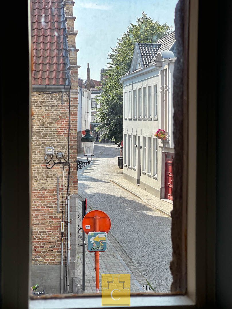 Breedhuis op een schilderachtige en stille ligging in het hart van de binnenstad, met flinke garage en grote stadstuin foto 9