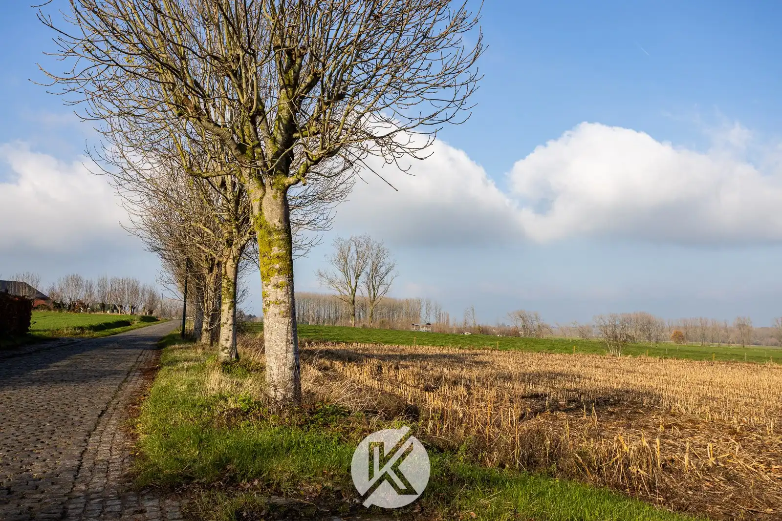 Halfopen gezinswoning in landelijke stijl foto 4