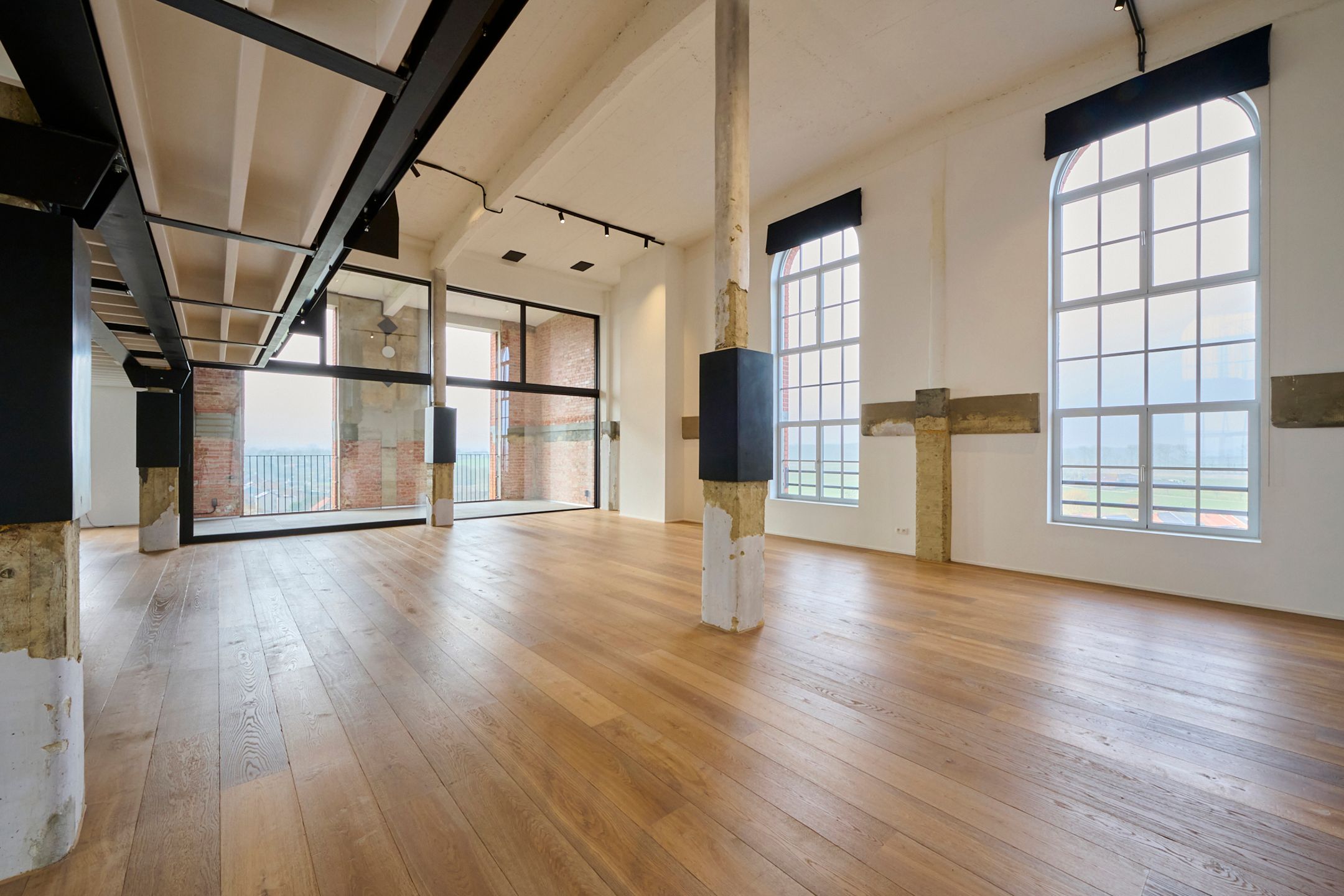 RIANTE PENTHOUSE-LOFT 263m² foto 3
